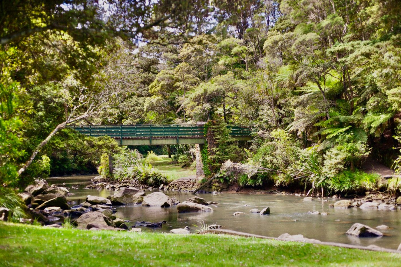 Serving Our Community in Whangarei